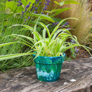 Patter-Products-Collection-Plastic-Plant-Pot.jpg