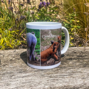 Quarr Abbey Pig Mug